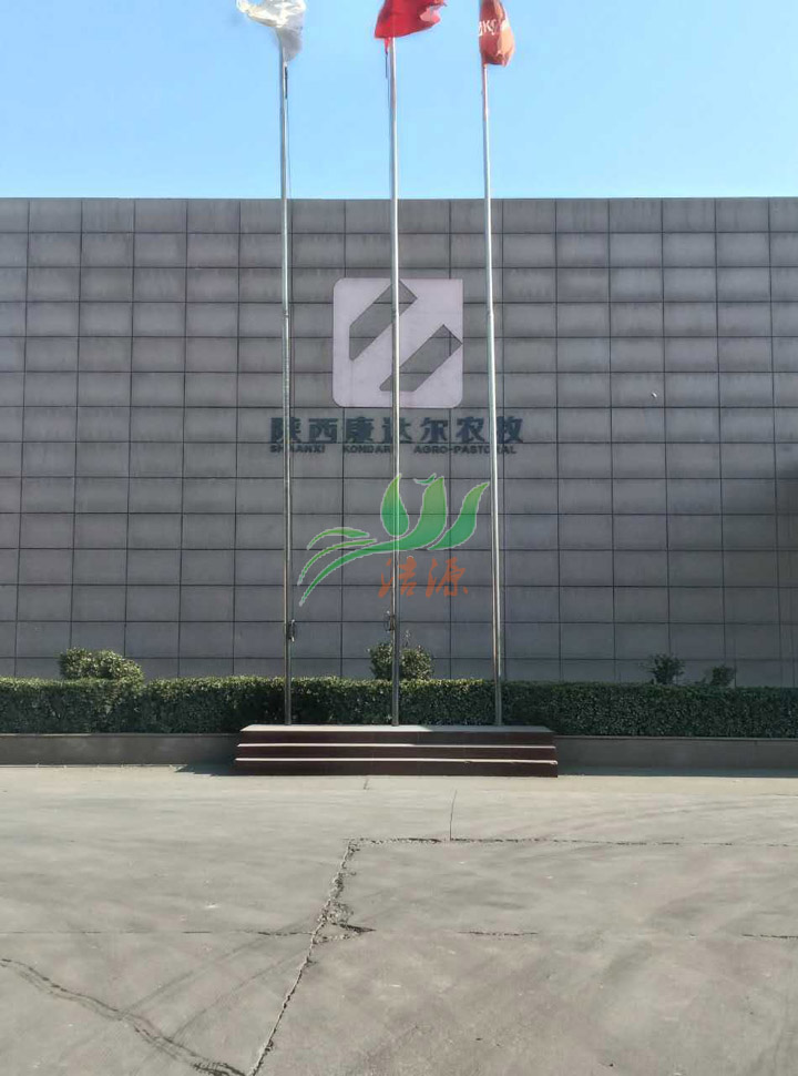 清洁燃料燃烧机客户案例